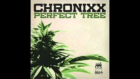 Chronixx - Perfect Tree [Official Audio]