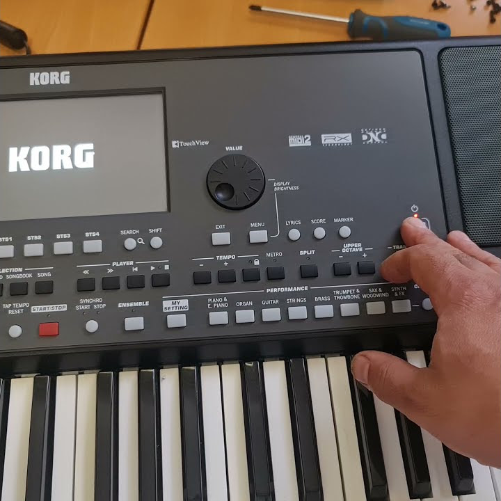 Korg pa 600 power on issue.