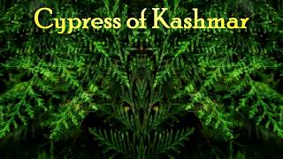 Cypress of Kashmar [Psydub Mix]