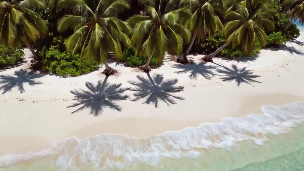 Afro House Mix 2025 | The Best of Afro House 2025 | Deep Sunset Emotion & Horizon Groove of Afro Sky