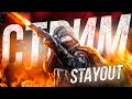 Stalker online | Stay out | Сталкер онлайн - Стрэм с морковочкой