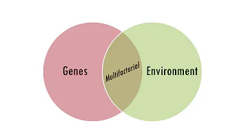 Are multifactorial diseases inherited?