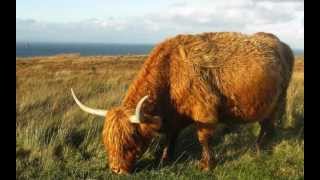 Isle of Skye - Donnie Munro