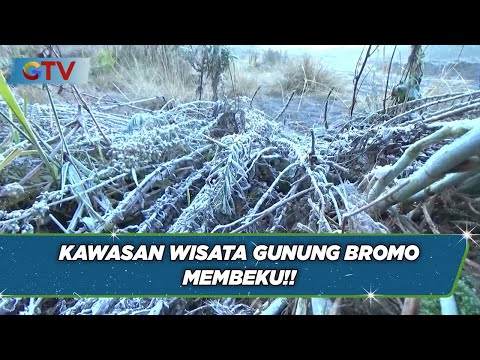 Kawasan Wisata Gunung Bromo Membeku - BIS 03/09