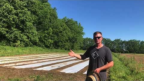 Planning Crop Rotations to Fit the Farm at Lazy Eight Stock Farm