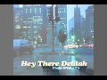 Hey there delilah plain white ts