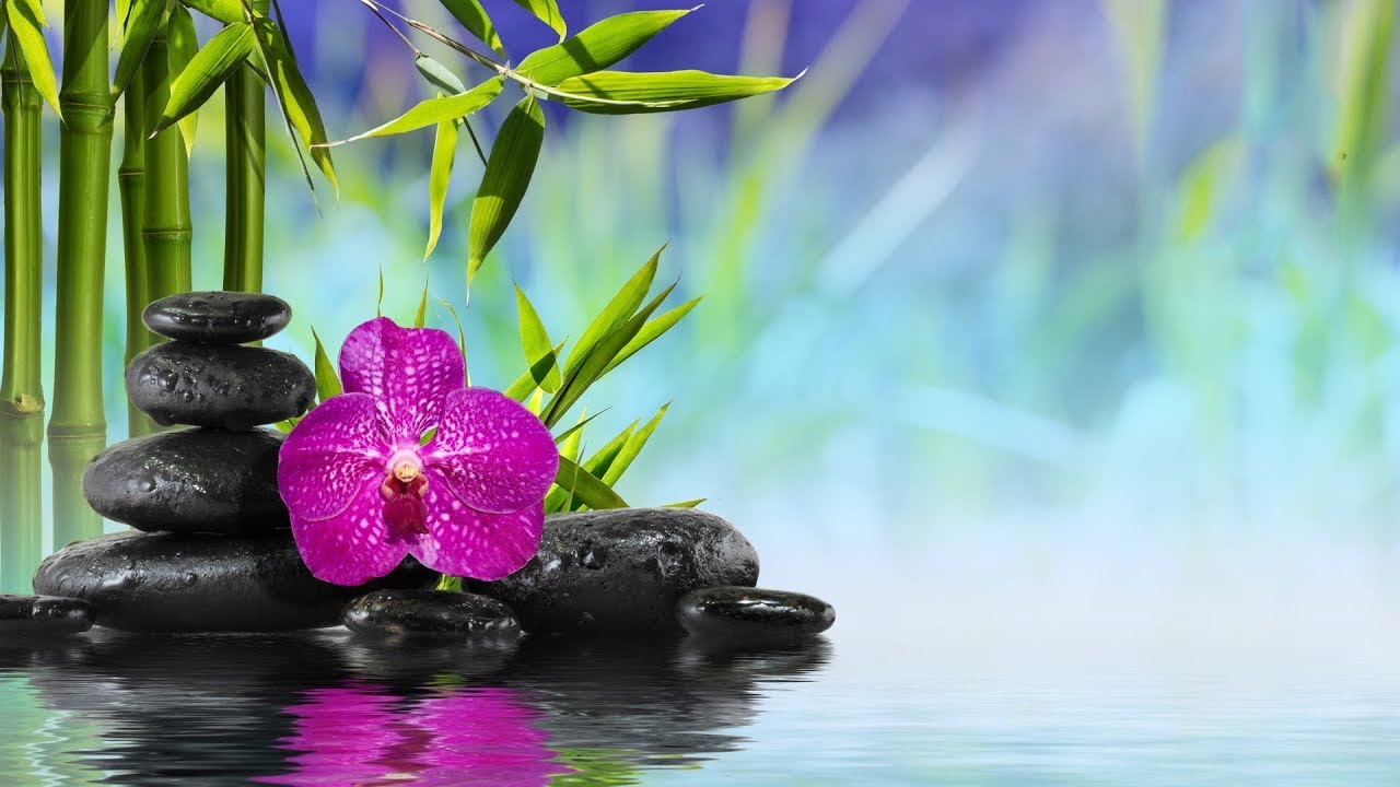 Bamboo Water Fountain Sounds Water Sounds White Noise for Sleep, Relax, Studying, Meditation