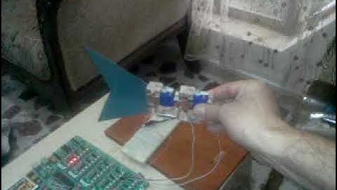 20- Robotic Fish Design and Implementation. Doctoral Work, 2015.