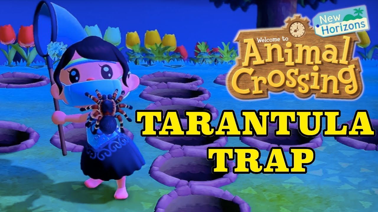 Tarantula Trap | Animal Crossing New Horizons | Easy Way to Catch