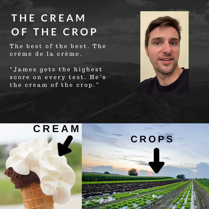 The Cream of the Crop - English Expression - Learn English
