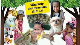Science Grade One SSES | Performance Task