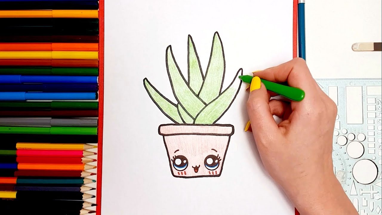 43+ Aloe Vera Drawing Tutorial