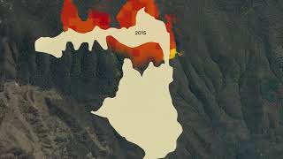 Planned Burning Case Study in Hume: Mount Hickey Fire 2015