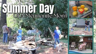 A Summer Day In The Life Of A Mennonite Mom