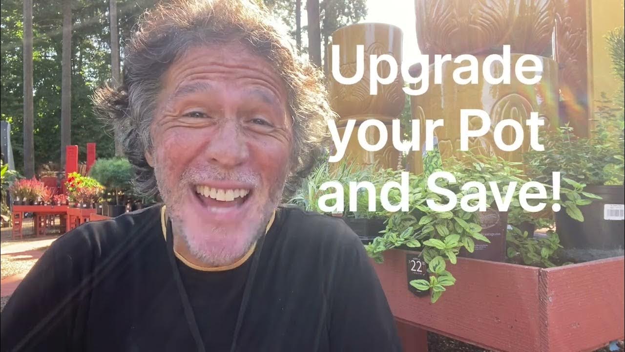 What to do with pots you no longer want. YouTube