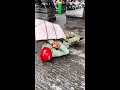 It's you who stepped on me #OriginalVideo #Yunnan #LiuErwa #DouyinPromotion #Trending🔥