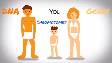 Co jsou chromozomy?