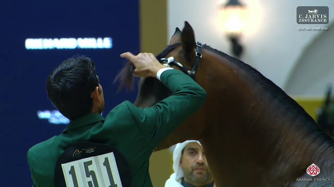 GCAT Abu Dhabi 2026   Class   6B