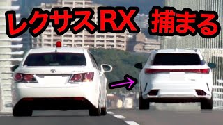 【激録】速度違反のレクサスRXが、覆面パトカーに全く気付かず...‼️　[警察 取り締まり 高速道路]