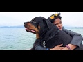 HAPPY BIRTHDAY ROCKY|අපේ රොකීගේ උපන් දිනය- WANDERLUST BLACK SOULS
