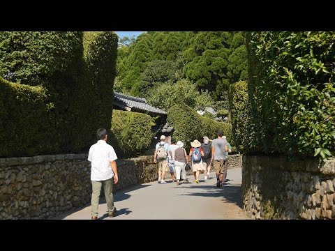 Samurai House Street 4K (Ultra HD) - 知覧武家屋敷／鹿児島