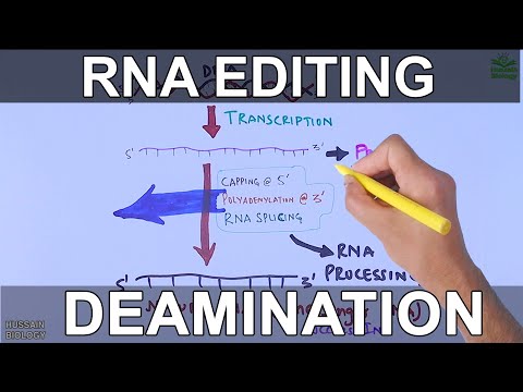 Video: Jak probíhá sestřih pre mRNA?