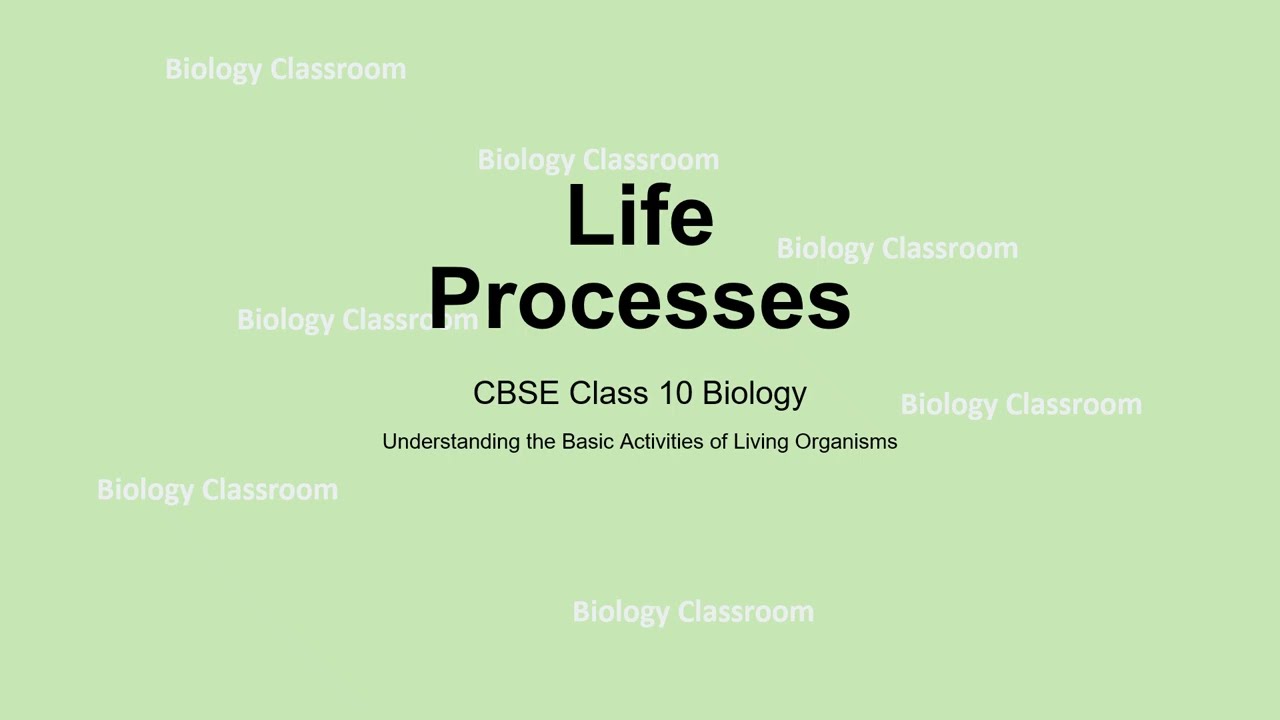 Life Processes | CBSE Class10 | Introduction