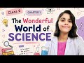 Class -6|Chapter-1|The wonderful world of science|full chapter explanation #science #class6 