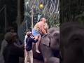 Dekha he pehli bar// hatipe hati sawar,#shorts #viral #funny #funnyvideo