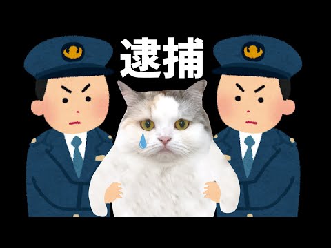 ついにあの事件の犯人を目撃しました！【関西弁でしゃべる猫】