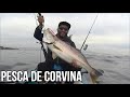 Por fin salio la Rubia !!!  ( pesca de corvina chile)