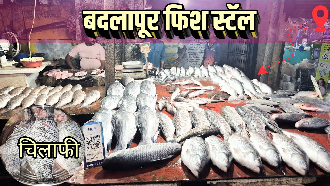 बदलापूर  फिश  स्टाॅल | Badlapur  fish | #viral | #viralvideos | #eknitinmagar 