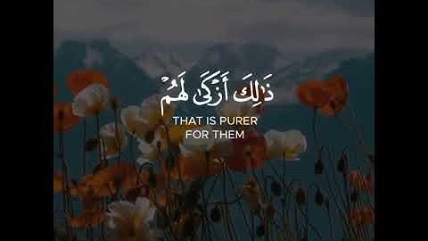 القرآن الكريم | قُل لِّلْمُؤْمِنِينَ يَغُضُّوا مِنْ أَبْصَارِهِمْ | سورة النور