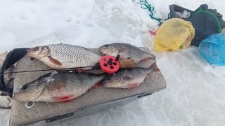 Весенняя рыбалка на реке, 18 марта 2024. Последний лед раздает трофеи