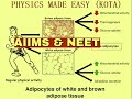 TISSUES & ITS TYPES; FIBROBLASTS; MAST CELLS; WHITE AND BROWN ADIPOSE TISSUE; MCQs FOR NEET - 1;