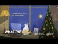 What The Duck - I wanna be with you on Christmas day (longplay)