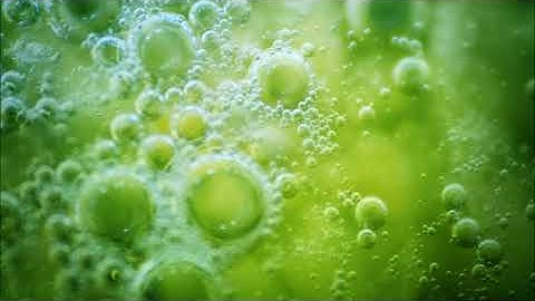 Scrambled frog eggs reassemble themselves: Life from non-life? See video links in description.