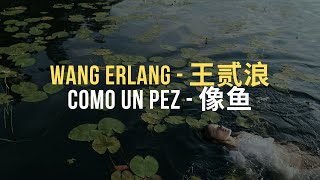 🎵 Wang Erlang - Como un pez [ES/CH/Pinyin]