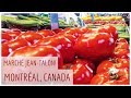 🇨🇦 THINGS to DO in MONTRÉAL on a RAINY DAY | THE IMMENSE MARCHÉ JEAN-TALON and FRENCH PATISSERIE!