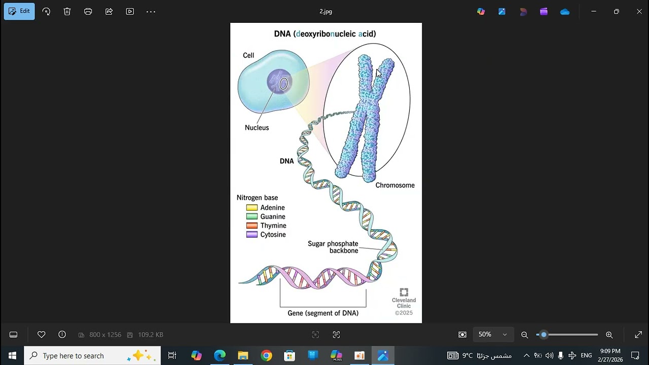 Introduction to Molecular Biology Part 1