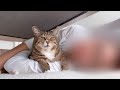 捕まっちゃったアザラシ