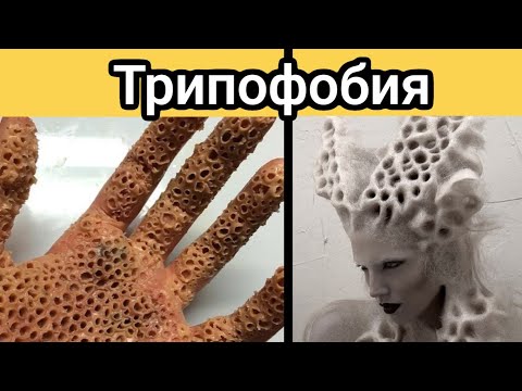 Самое Мерзкое Видео в Мире! / А у Вас есть Трипофобия?!