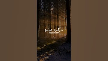 الله نور السماوات والأرض | القارئ ياسر الدوسري | تلاوة هادئة وجميلة جدا | سبحان الله