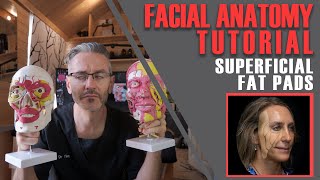 FAT PAD ANATOMY: Why fat pads are such a key piece of the aesthetic jigsaw [Aesthetics Mastery Show]