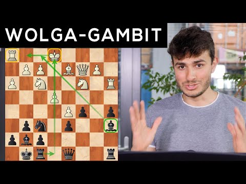 Faszination Wolga-Gambit ||