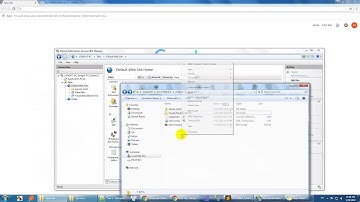 Tainted canvases may not be exported