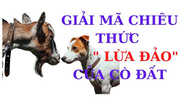 GIẢI MÃ CHIÊU THỨC "LỪA ĐẢO" CỦA CÒ ĐẤT – BÍ KÍP TRÁNH BẪY KHI MUA BẤT ĐỘNG SẢN