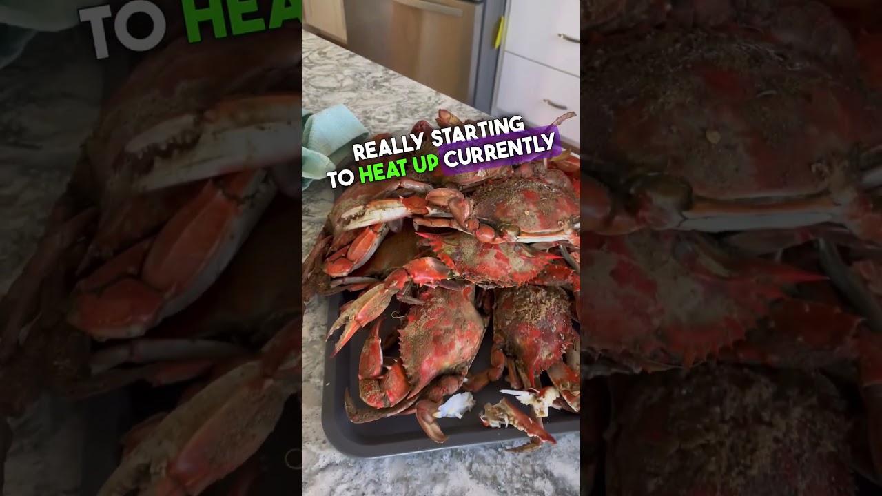 Southern Maryland Waterfront Market Update 