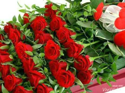 اغنيه حنين حداد