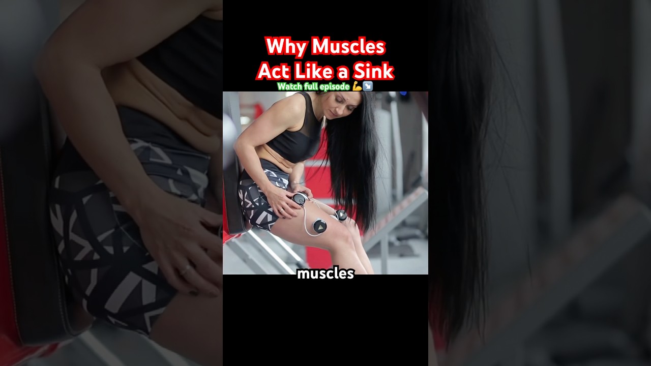 Why muscles act like a sink 